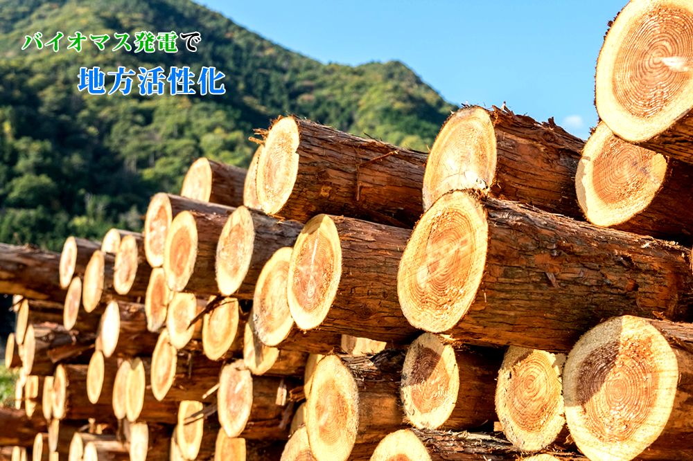 バイオマス発電｜再生可能エネルギーで未来をデザインするスズカ電工