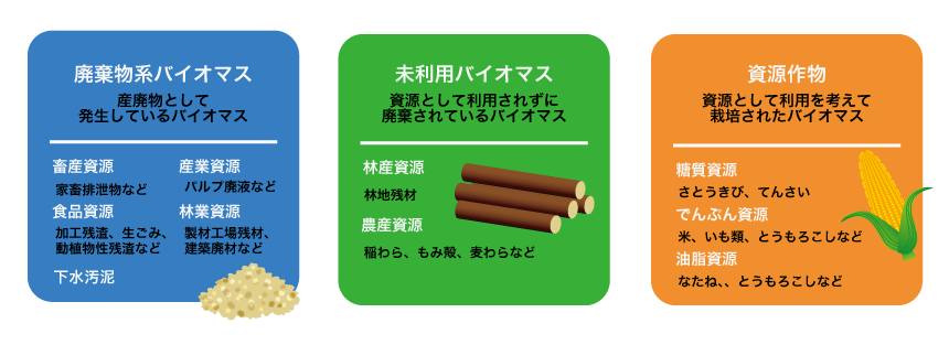 �p�����n�o�C�I�}�X�A�����p�o�C�I�}�X�A�����앨