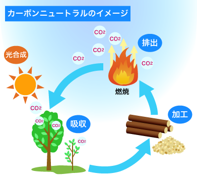 �J�[�{���j���[�g�����̃C���[�W